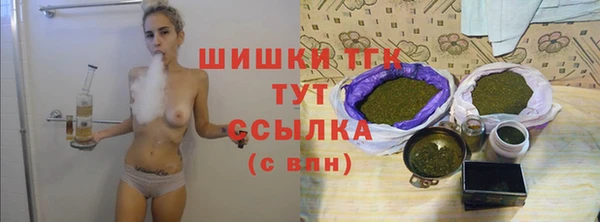 хмурый Горняк