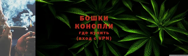 хмурый Горняк