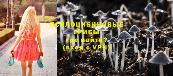 бутират Горно-Алтайск