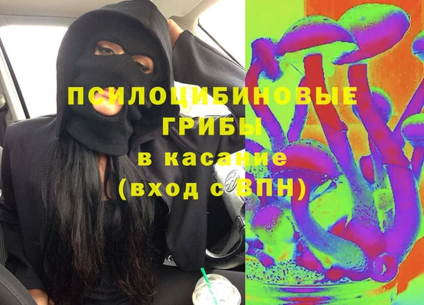 хмурый Горняк