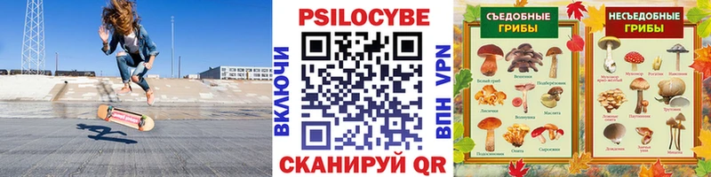 закладка  Новосокольники  Галлюциногенные грибы Magic Shrooms 
